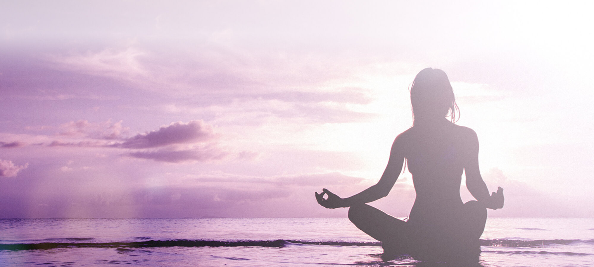 Lotus Physical Therapy of Long Island, New York